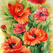 Схема вышивки «pipacs»