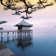 Схема вышивки «pagoda»