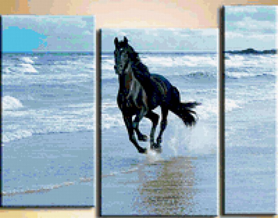 paripa - предпросмотр