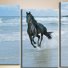 Схема вышивки «paripa»