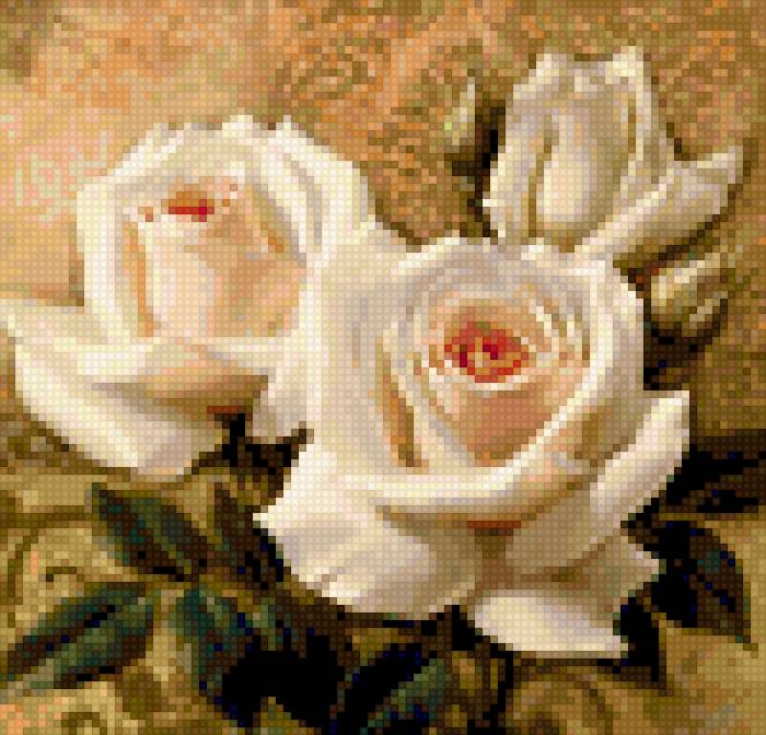 rózsa - предпросмотр