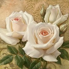 Схема вышивки «rózsa»