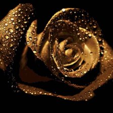 Схема вышивки «Роза»