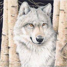 Схема вышивки «farkas»