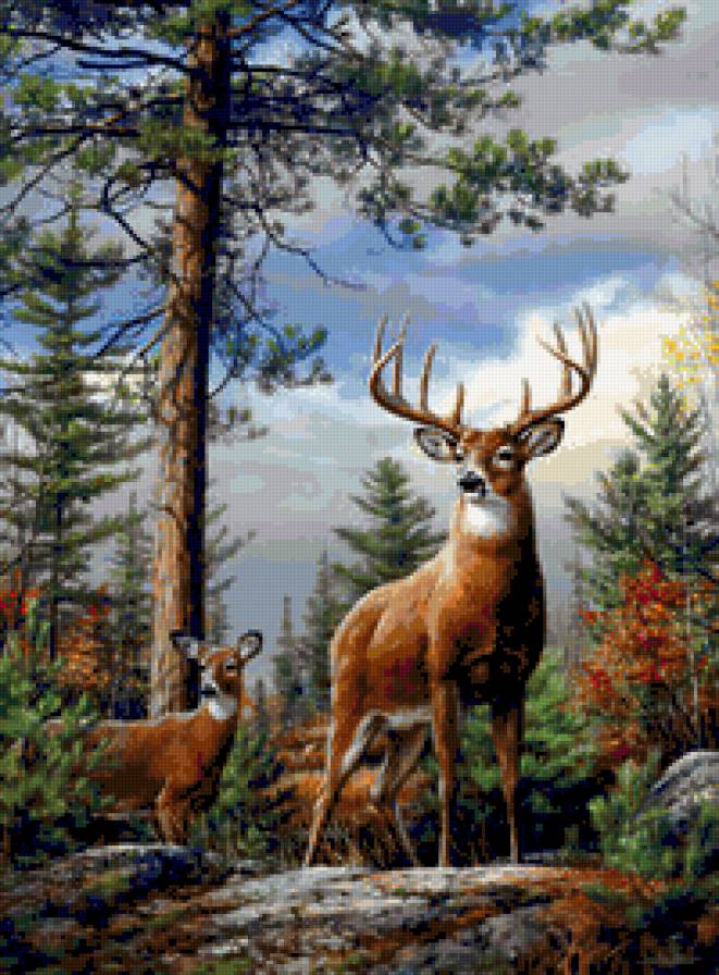 szarvas - предпросмотр