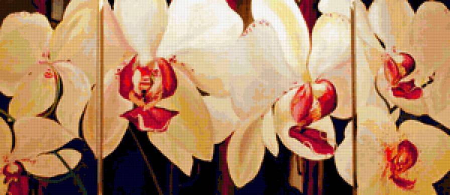 орхидеи  (общий вид) - букет, триптих, орхидея, орхидеи, полиптих, цветы - предпросмотр