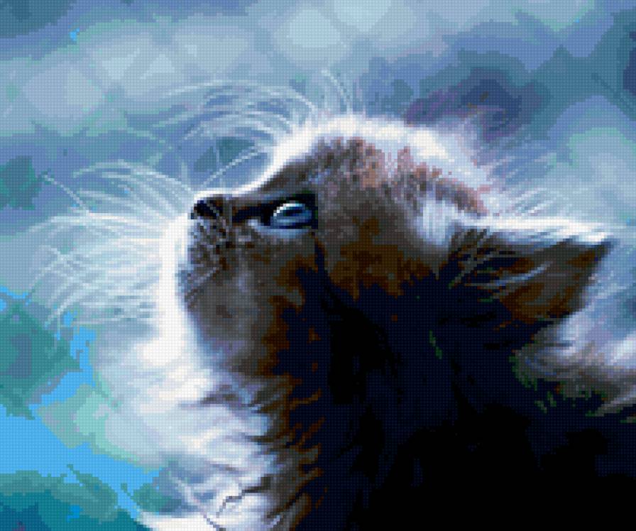 Милаш - прелесть, кошки, котенок - предпросмотр