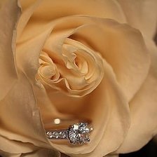 Схема вышивки «011»