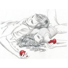 Схема вышивки «пара»