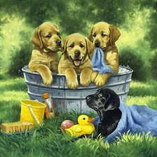 Схема вышивки «собачки моются»