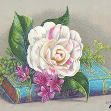 Схема вышивки «роза»