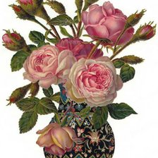 Схема вышивки «розы»