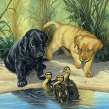 Схема вышивки «Собачки у прудика»