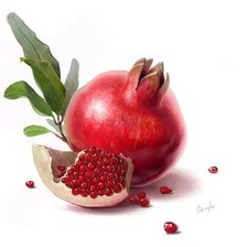 Схема вышивки «Гранат»