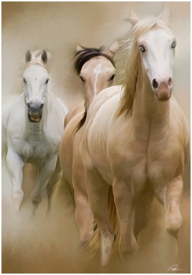 Лошади - лошадь, конь - оригинал