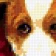 Предпросмотр схемы вышивки «собачки» (№225871)