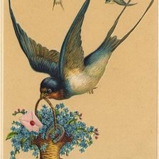 Схема вышивки «ласточки»