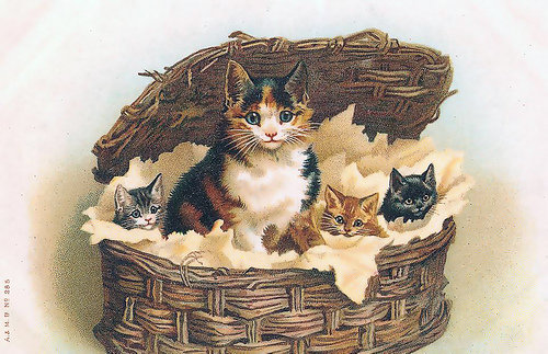 мамочка - кошки - оригинал