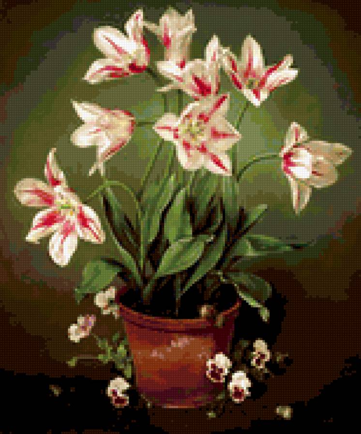 тюльпан - предпросмотр