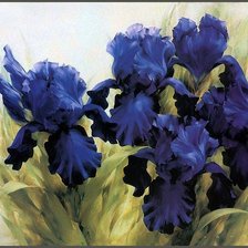 Схема вышивки «ирис»