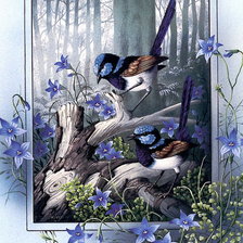 Схема вышивки «Птицы»