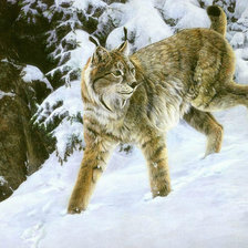 Схема вышивки «Дикие животные зимой»