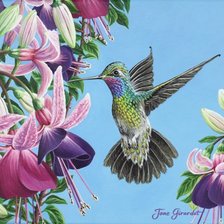 Схема вышивки «Колибри»