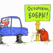 Схема вышивки «Подушка в машину»