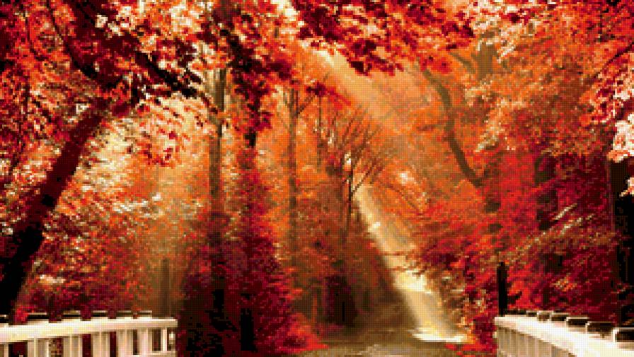 Осень золотая - пейзаж, осень, парк - предпросмотр