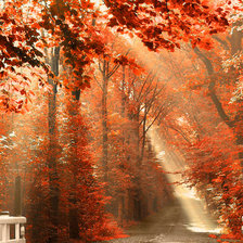 Схема вышивки «Осень золотая»