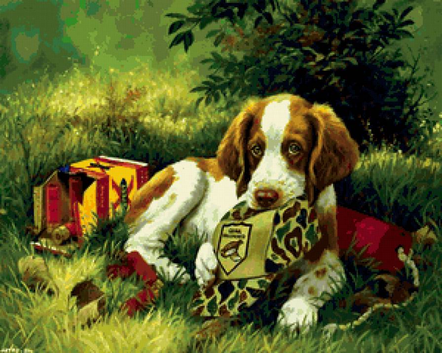 отдыхаю - друг, животные, друг семьи, собака - предпросмотр