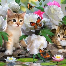 Схема вышивки «котики в цветах»