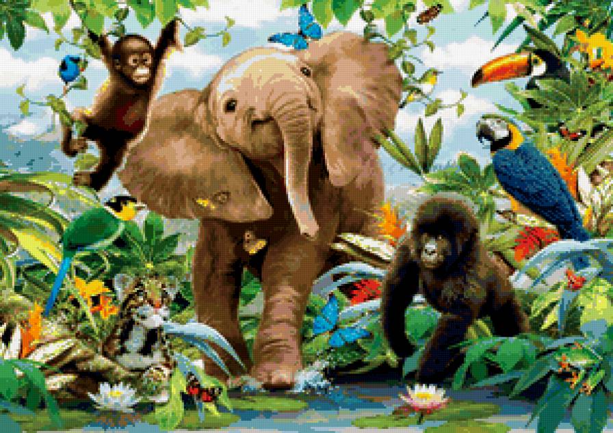 животные - птицы, какаду, природа, обезьяна, слон, попугай, африка - предпросмотр