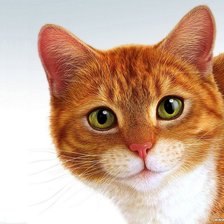 Схема вышивки «Рыжий котик»