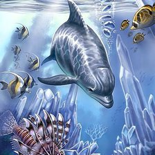 Дельфин