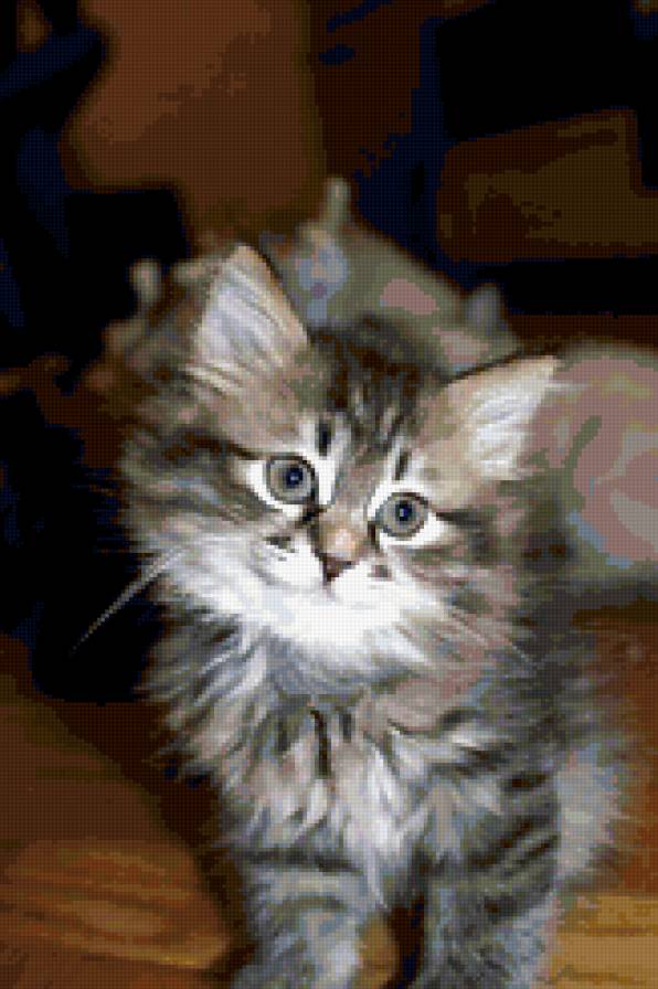 котик - животные, кошки, мусики, котята - предпросмотр