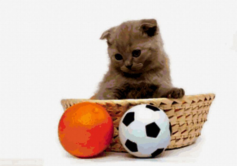 котик и ее игрушки - мусики, котята, игрушки, кошки - предпросмотр