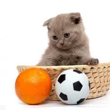 Схема вышивки «котик и ее игрушки»