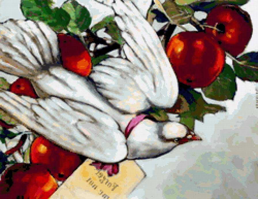 голубка - животные, природа, картина, птицы.голубь, фауна - предпросмотр