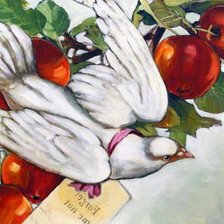 Схема вышивки «голубка»