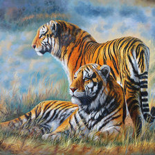 Схема вышивки «Tigris»