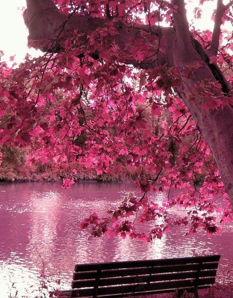 №226758 - пейзаж - оригинал