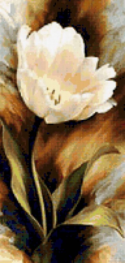 Tulipán - предпросмотр