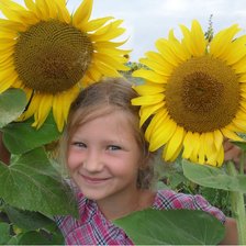 Схема вышивки «в подсолнухах»