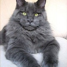 Схема вышивки «018»