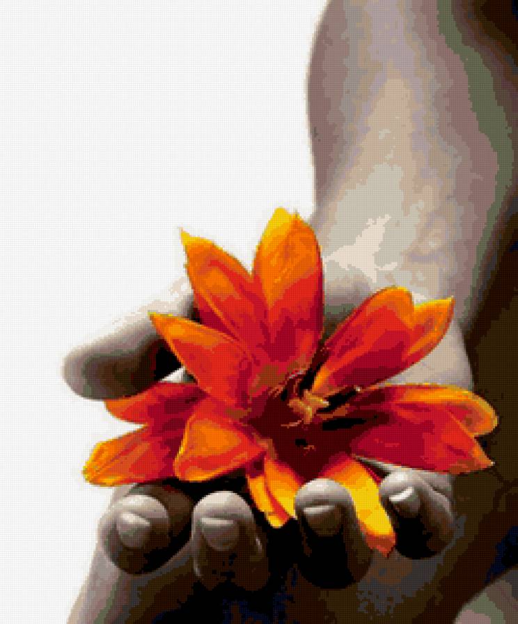 черно-белое - люди, девушка, чувства, руки, монохром, лица, тоска, рука, цветок - предпросмотр