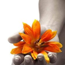 Схема вышивки «черно-белое»