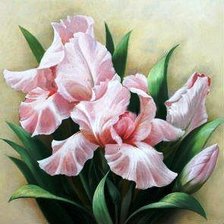 Схема вышивки «liliom»