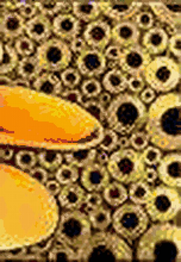 триптих правая часть - предпросмотр