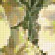 Предпросмотр схемы вышивки «букет» (№227149)